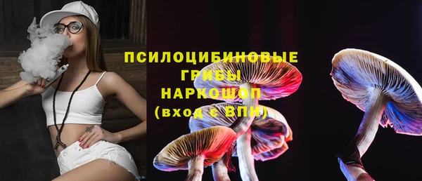 гидра Вязьма