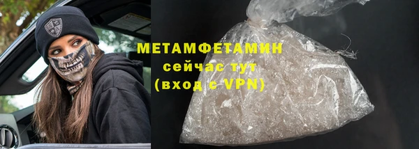 гидра Вязьма
