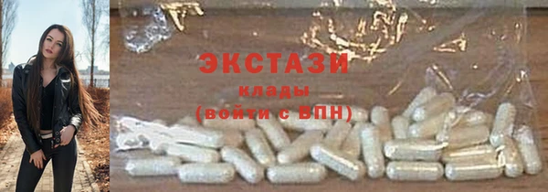 гидра Вязьма