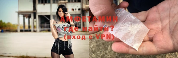 гидра Вязьма