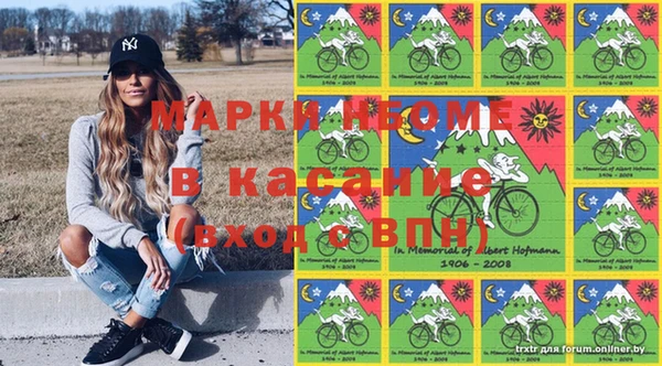 гидра Вязьма