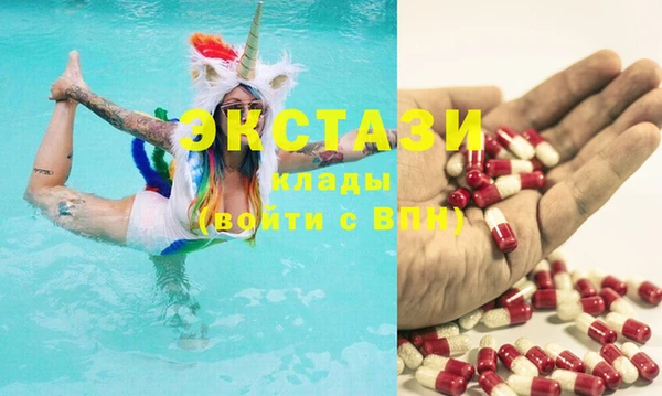 гидра Вязьма