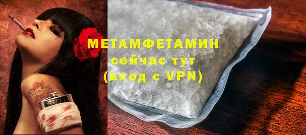 гидра Вязьма