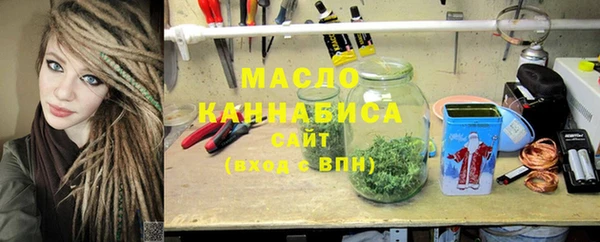 гидра Вязьма