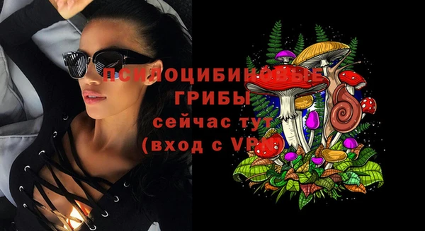 гидра Вязьма