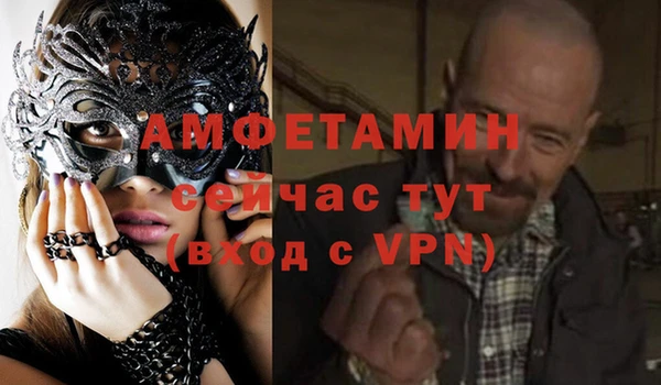 гидра Вязьма