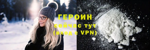 гидра Вязьма